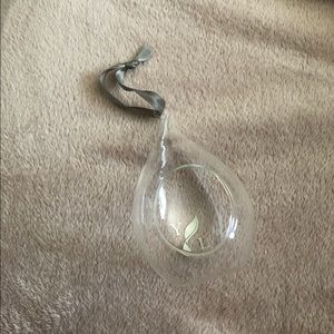 Young living hanging planter for air plant